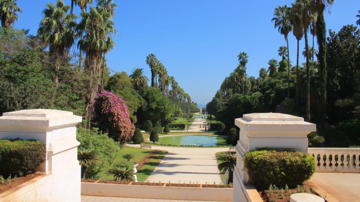 Vol Strasbourg Alger pas cher