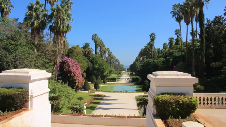 Vol Strasbourg Alger pas cher