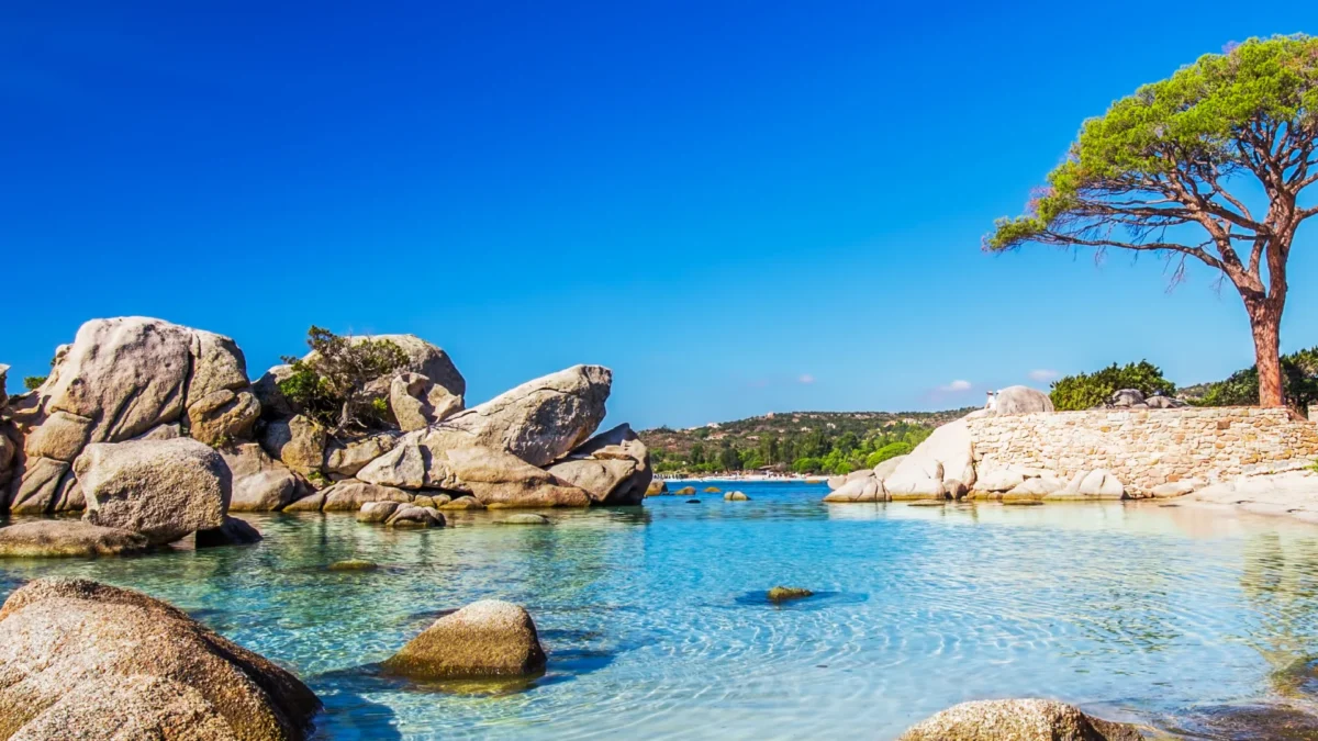 Vol Strasbourg Figari pas cher