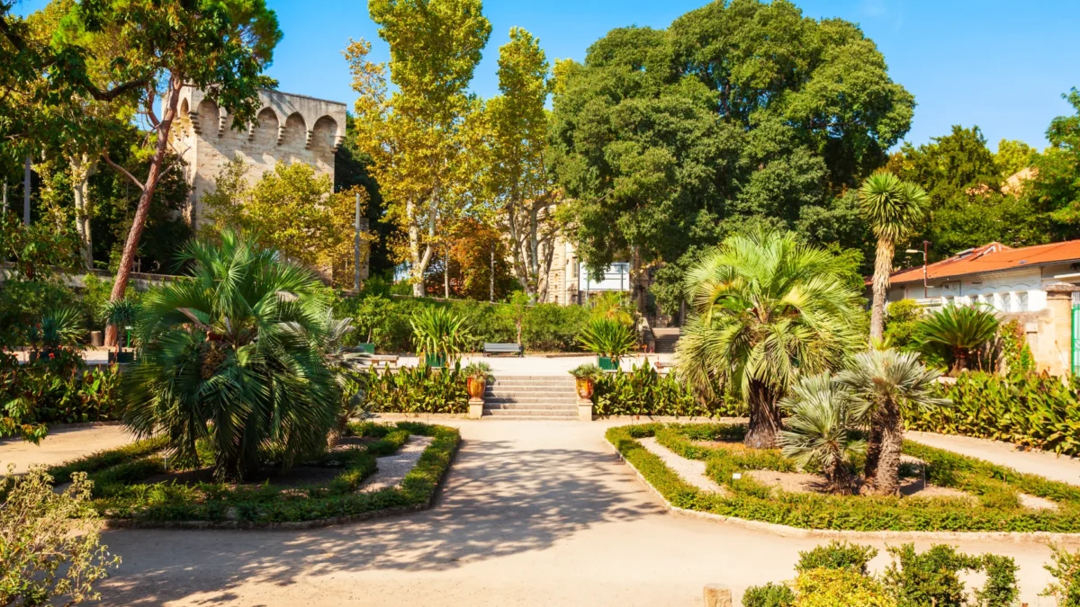 Vol Strasbourg Montpellier pas cher