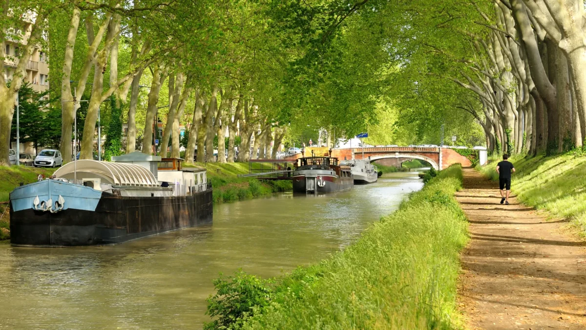 Vol Strasbourg Toulouse