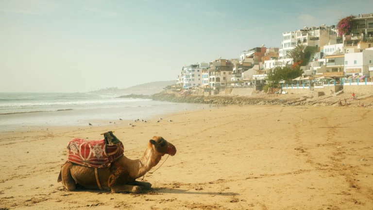 Vol Strasbourg Agadir pas cher