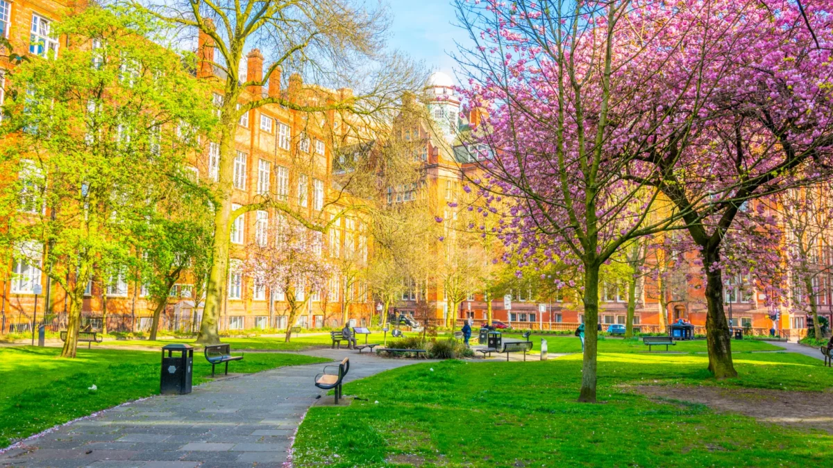 Vol Strasbourg Manchester pas cher