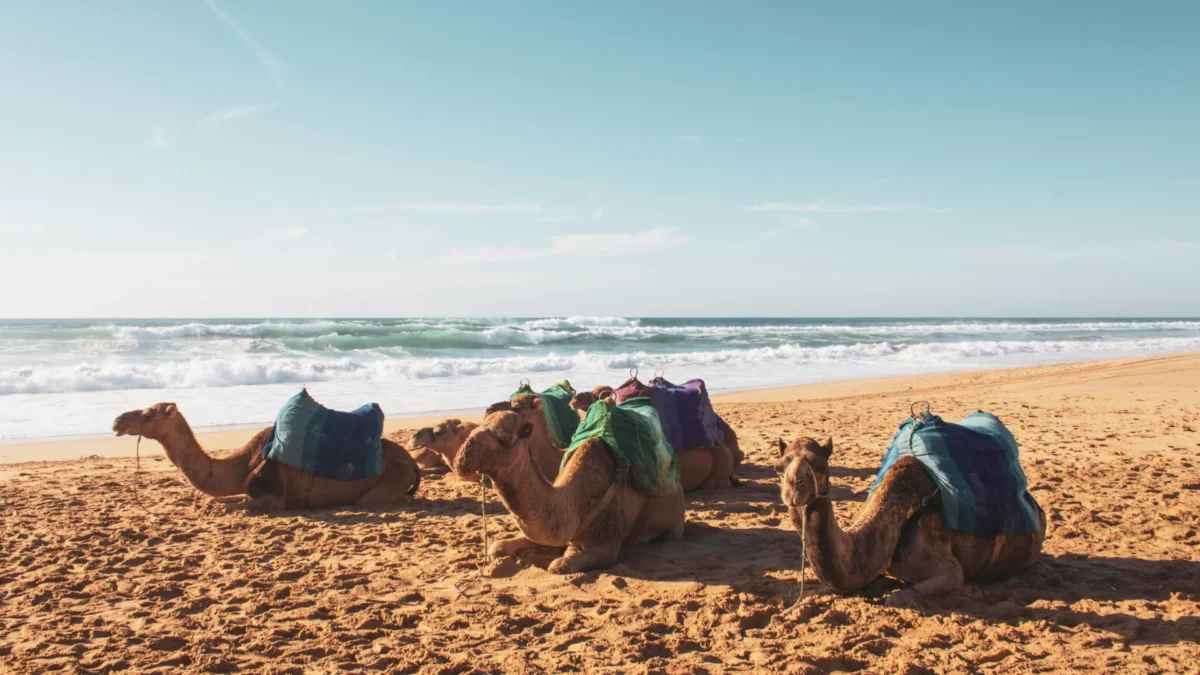 Vol Strasbourg Rabat pas cher